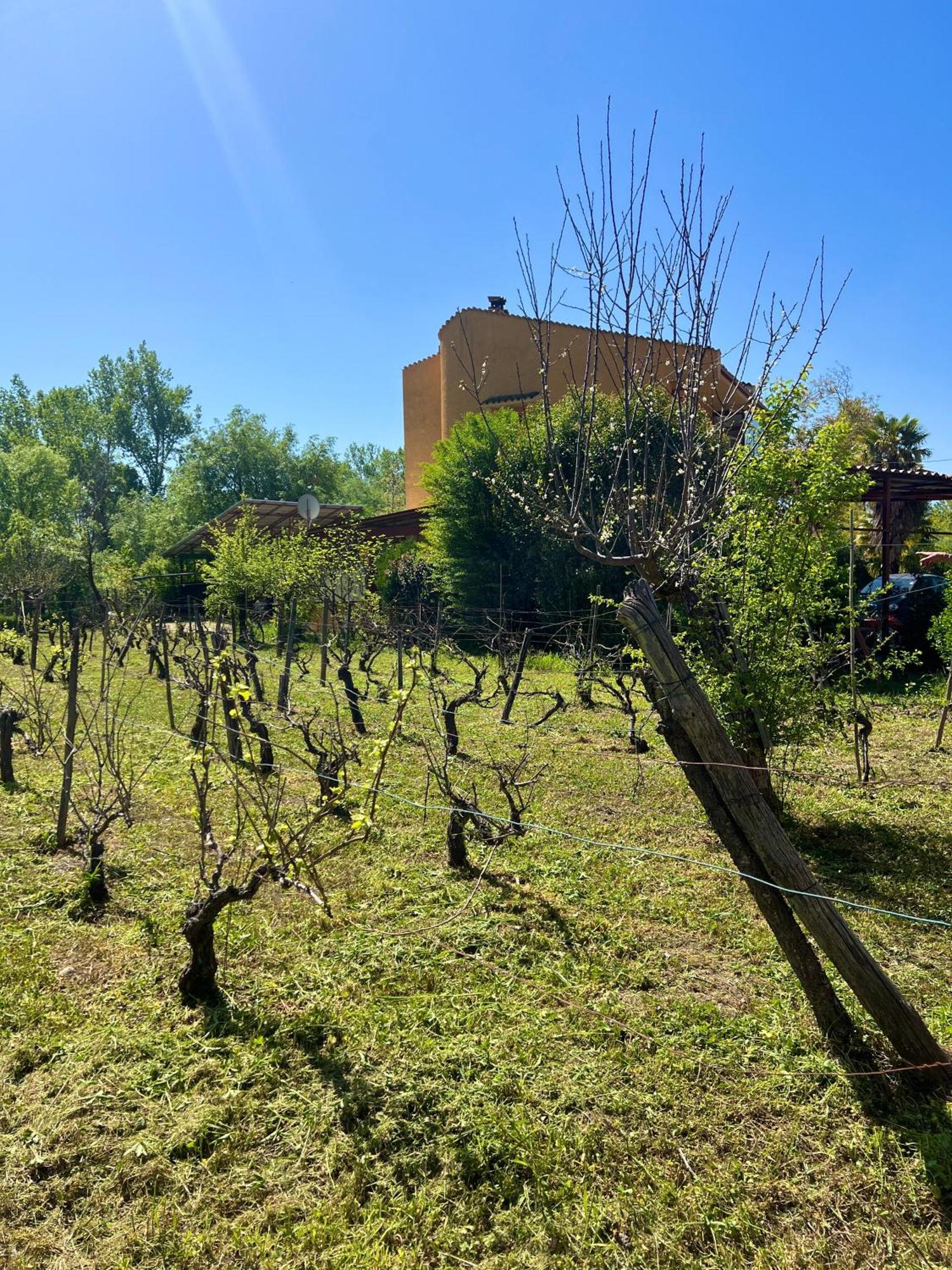 Villa Alberto Σουλμόνα Εξωτερικό φωτογραφία